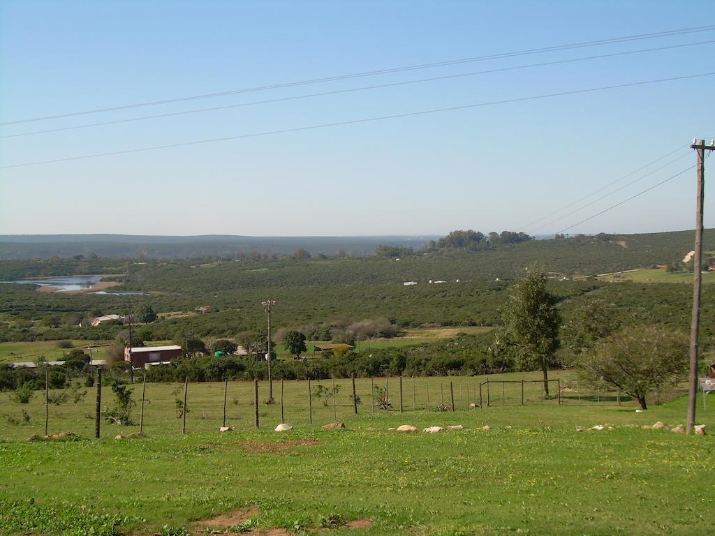 فندق The Hexagon Wildlife Conservation Uitenhage المظهر الخارجي الصورة